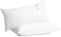 2PACK 24x24IN BEDDING PILLOWS