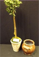 Tree in Planter & Ceramic Pot