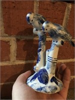Blue and white parrots