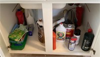 Cleanup of cabinets in laundry room