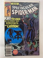 MARVEL COMICS PETER PARKER SPIDER-MAN # 163