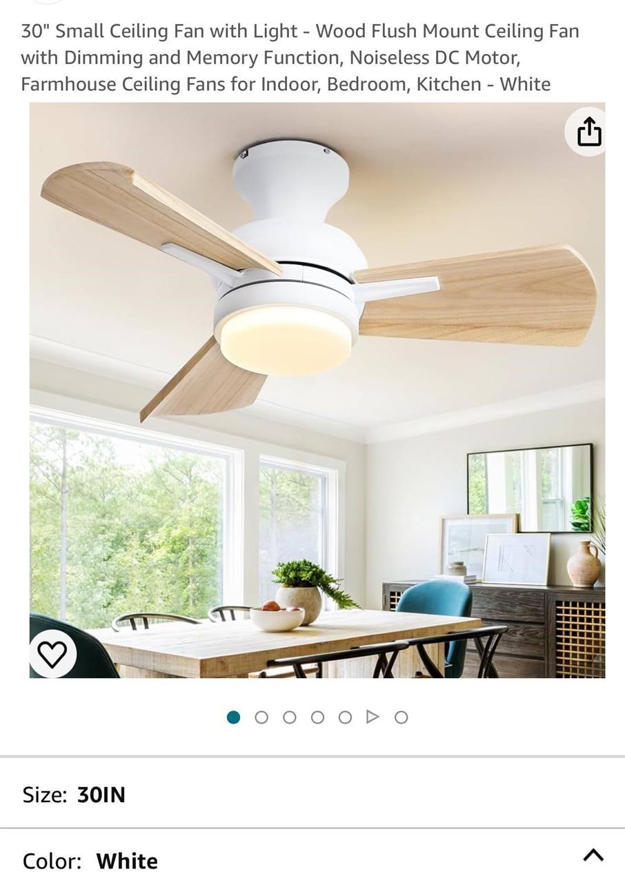 30" Small Ceiling Fan with Light