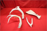 Weathered Antler & Bone 3pc lot