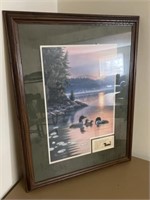 Framed Print of Loons