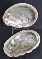 2 Half Pcs Abalone Shells (Paua Shell)