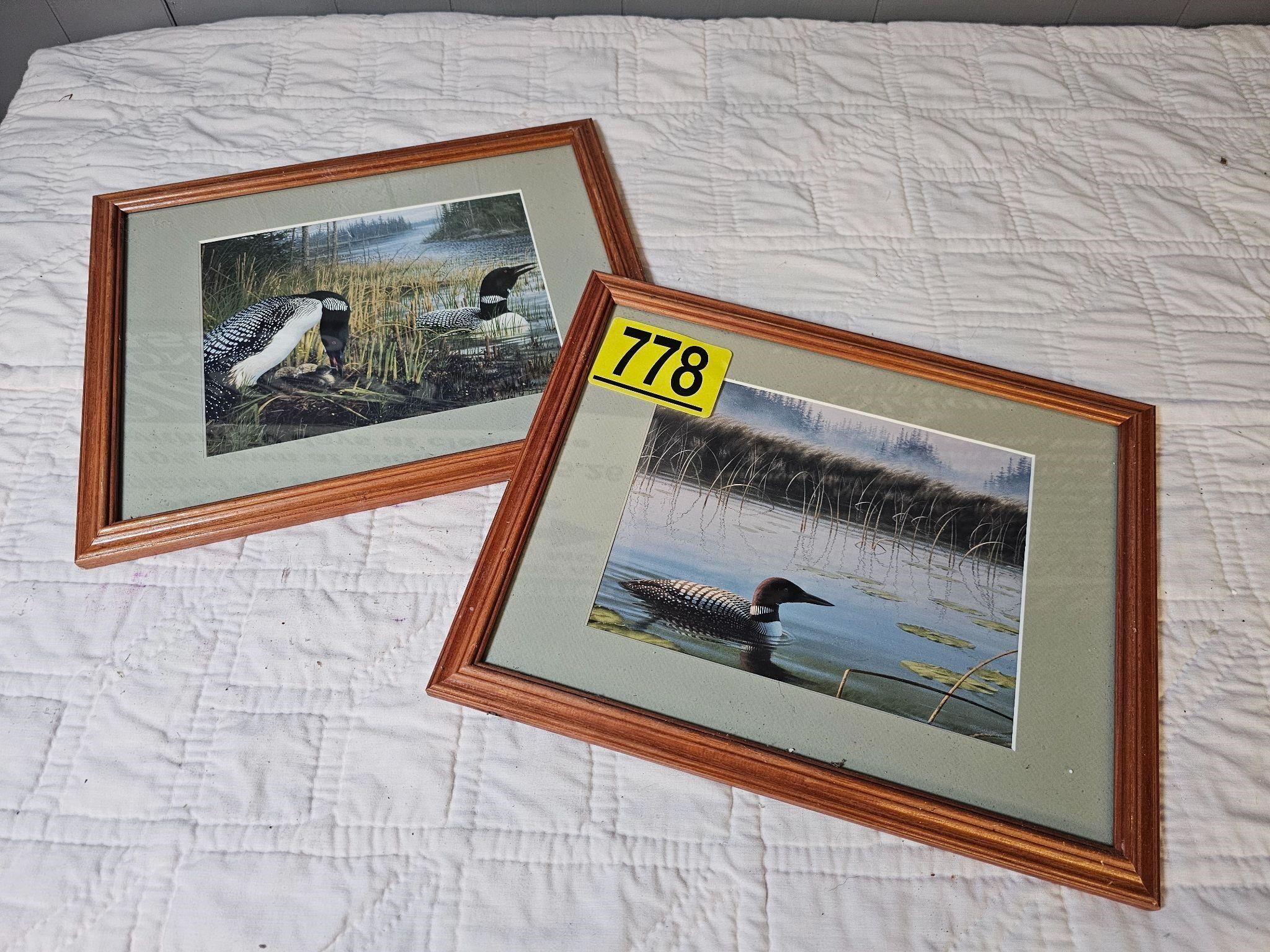 Framed Duck Wall Art- x2 frames