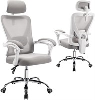 Ergonomic Reclining Mesh Office Chair (Grey)