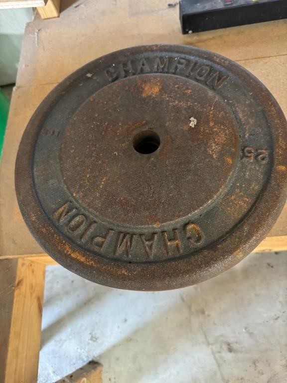 Champion 25lb Tractor Weights