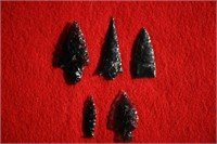 5 Very Fine Obsidian Arrowheads Found in Harney Co