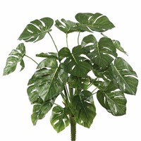 Split Philo Bush (Set of 2)