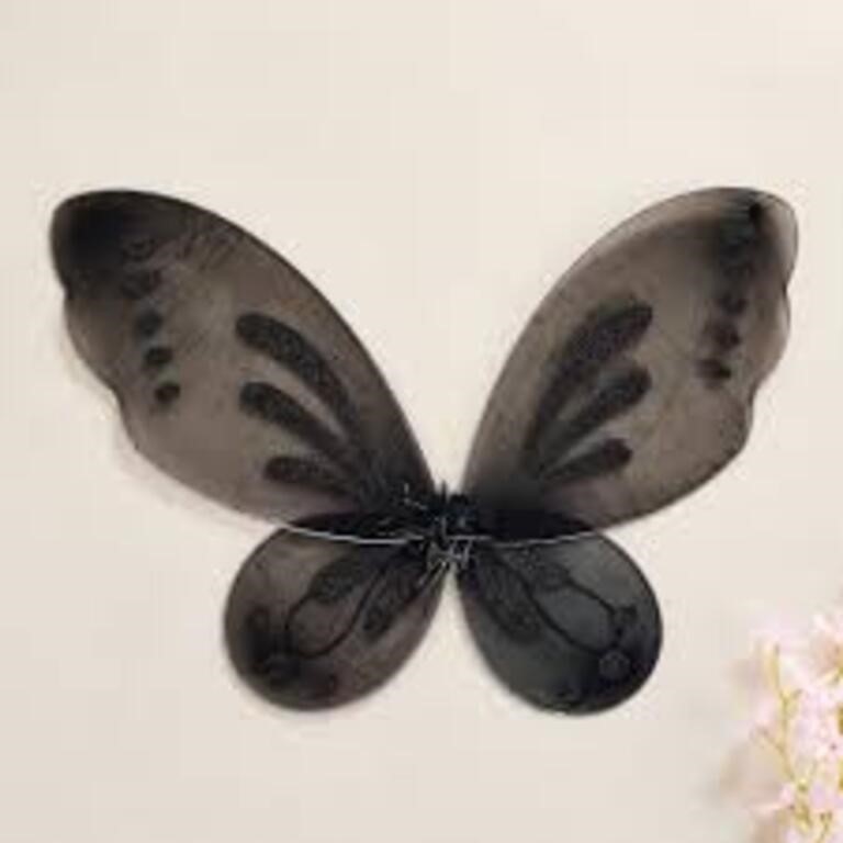 Youweixiong Fairy Wings for Kids  Black