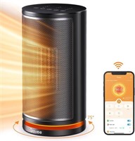 Govee Smart Heater