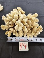 Vintage Natural White Coral