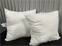 2(20”x20”) Pillows/ Sofa/Bed Decorative Pillows