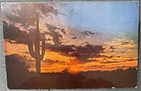 Vintage The Brightness of The Day Postcard RPPC