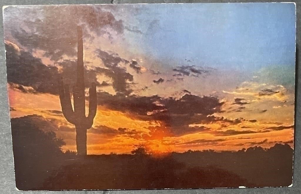 Vintage The Brightness of The Day Postcard RPPC