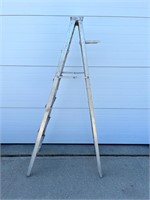 Aluminum 6Ft Step Ladder