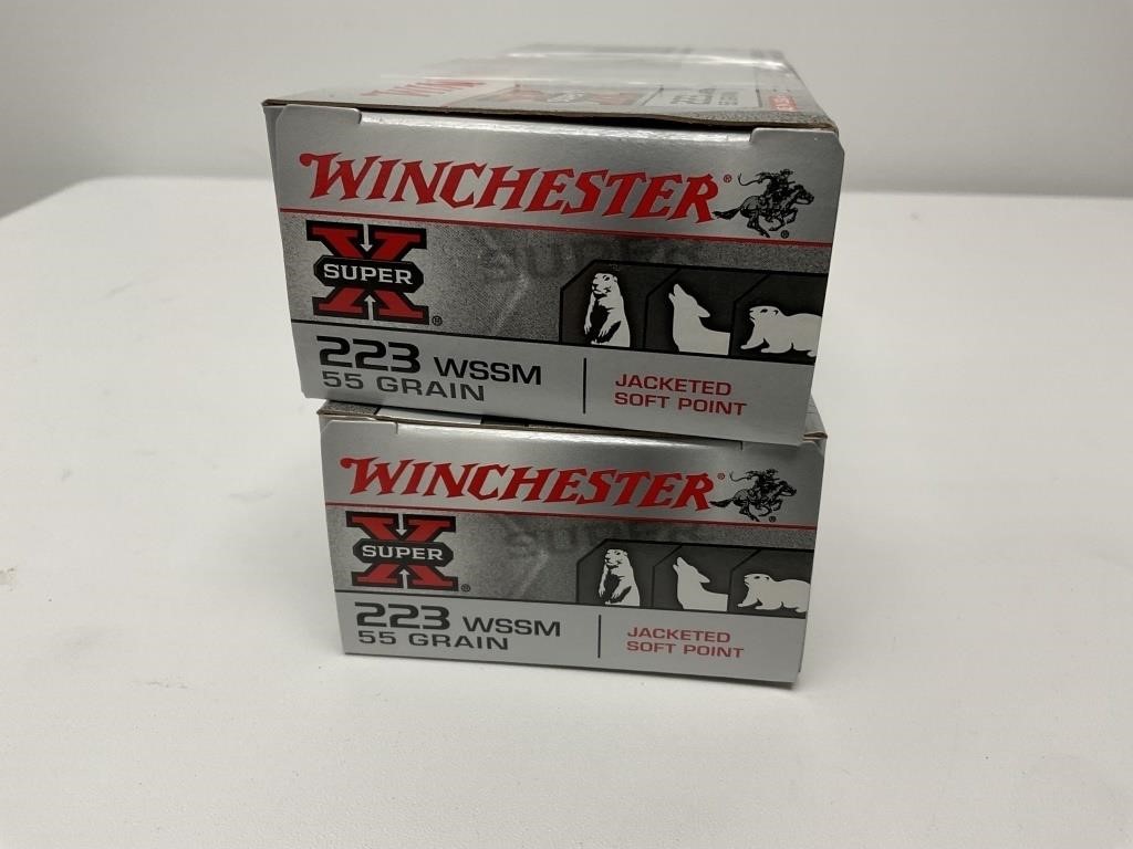 2 Boxes of Winchester SuperX 223 WSSM 55gr jackete