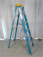 Werner Blue Fiberglass Ladder