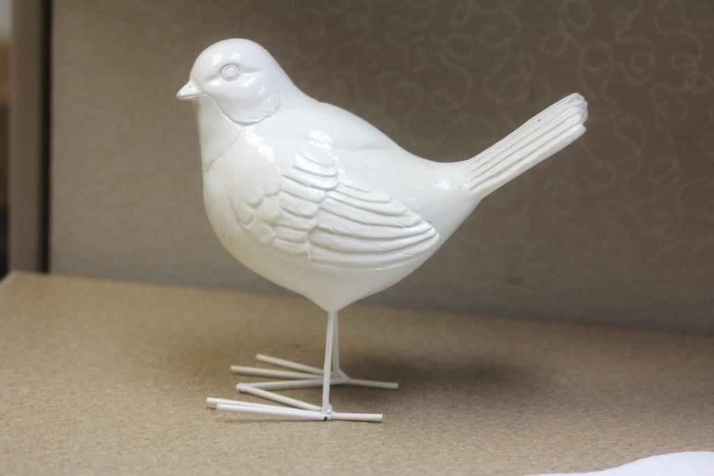 White Tin Bird