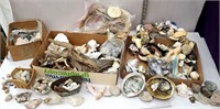 3 boxes of seashells, driftwood, and rocks