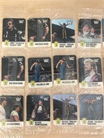 Lot of 12 1987 Hostess WWF Cards