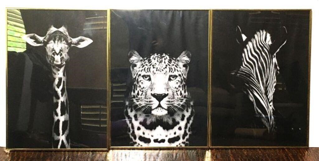 Black & White Safari Framed Prints