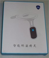 Posture Correction Device