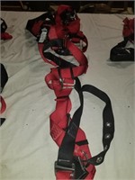 Protecta first safety harness