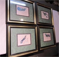 Lot of 4 Framed Hummingbird Prints