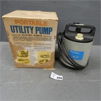 Portable Utility Pump