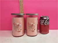 2 New 14oz Pink Sands Yankee Candles