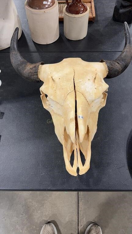 YELLOWSTONE BISON SKULL 21" X 21"