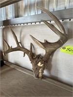 Deer Rack