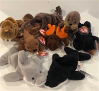 TY Beanie Babies Bucky, Paul, Chocolate, Splash,