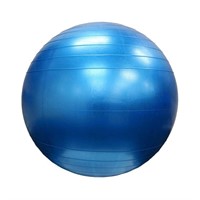 24" Blue Exercise Ball