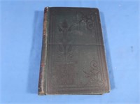 Antique Book "A Penniless Girl"