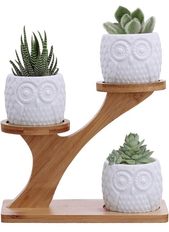 New, 3pcs Owl Succulent Pots with 3 Tier Bamboo
