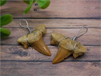 SHARK TOOTH PENDANTS ROCK STONE LAPIDARY SPECIMEN