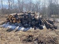 3 - 4 Cords Spruce Logs