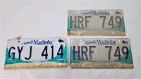 Manitoba License Plate lot