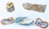 Collection Fluorite Pyrite Fossil Geodes Minerals