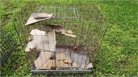 Critter cage