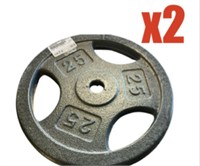 LOT OF 2 METAL 25 LBS WEIGHT PLATES  GOOD