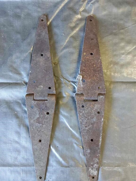 Pair of Metal Hinges