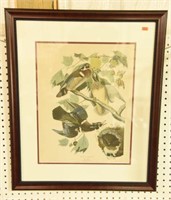 Framed J.J. Audubon Print of Wood Ducks by