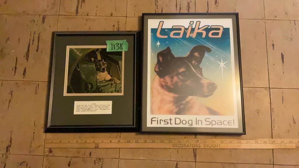 Laila, 1st dog in space framed prints