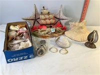 Shell Lamp, Conch Shell & Assorted Shells
