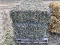 10 Square Bales of Grass Hay