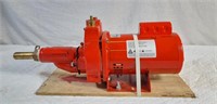 Red Lion RJC-75-PREM Water Well Pump. 3/4 Hp.